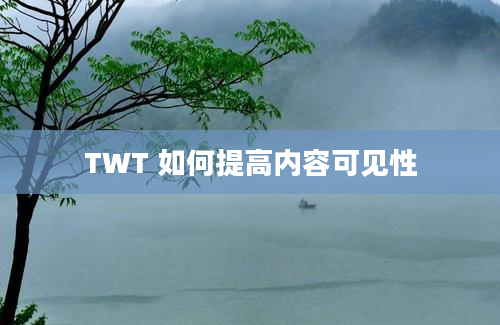 TWT 如何提高内容可见性