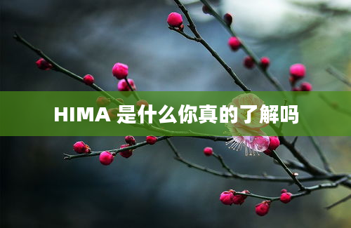 HIMA 是什么你真的了解吗