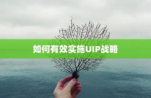 如何有效实施UIP战略