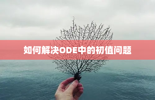 如何解决ODE中的初值问题