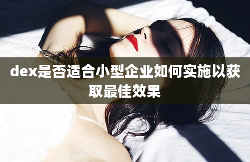 dex是否适合小型企业如何实施以获取最佳效果