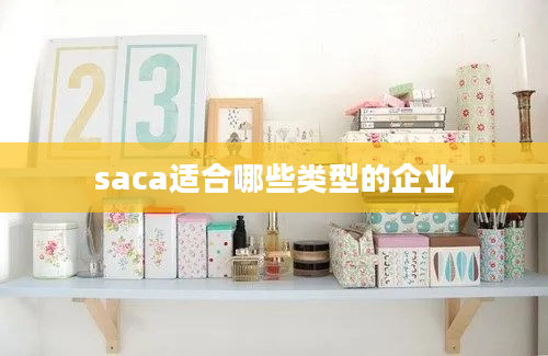 saca适合哪些类型的企业