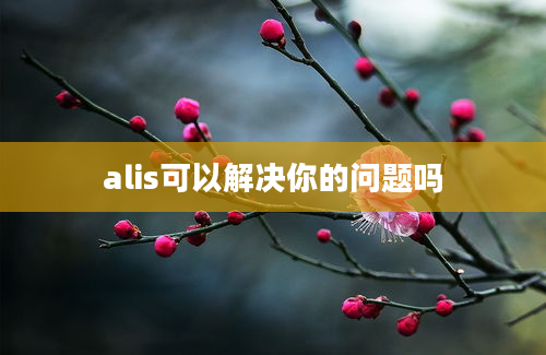 alis可以解决你的问题吗