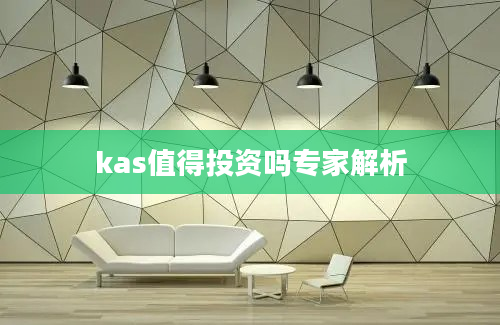 kas值得投资吗专家解析