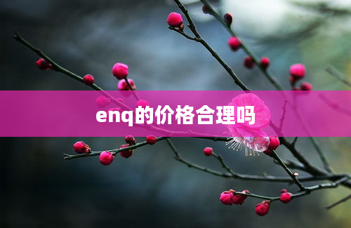 enq的价格合理吗