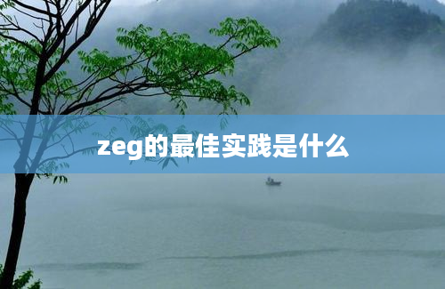 zeg的最佳实践是什么