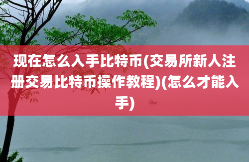 现在怎么入手比特币(交易所新人注册交易比特币操作教程)(怎么才能入手)