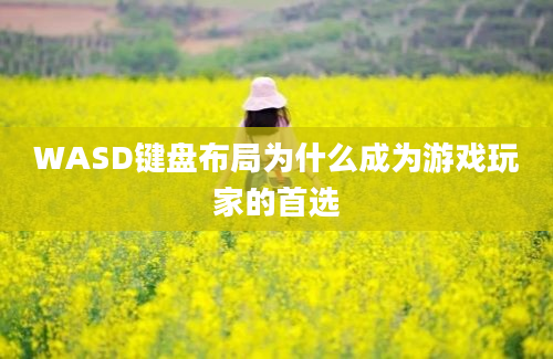 WASD键盘布局为什么成为游戏玩家的首选