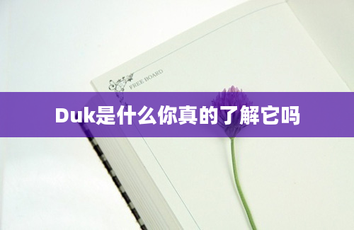 Duk是什么你真的了解它吗