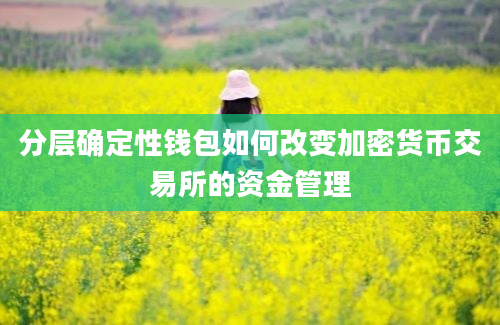 分层确定性钱包如何改变加密货币交易所的资金管理