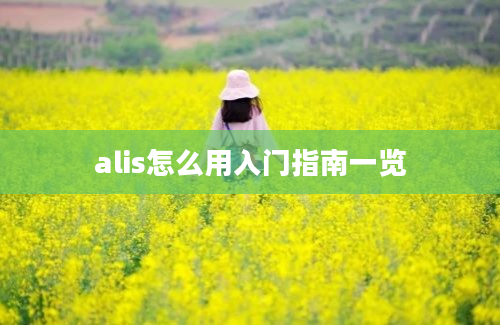 alis怎么用入门指南一览