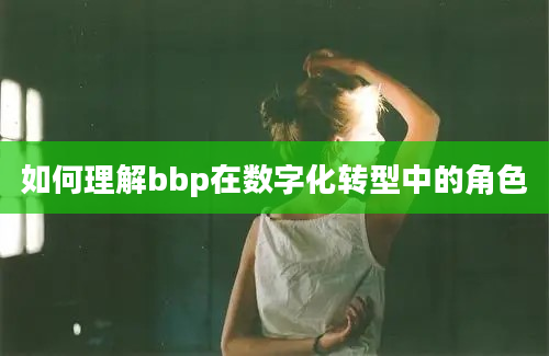 如何理解bbp在数字化转型中的角色