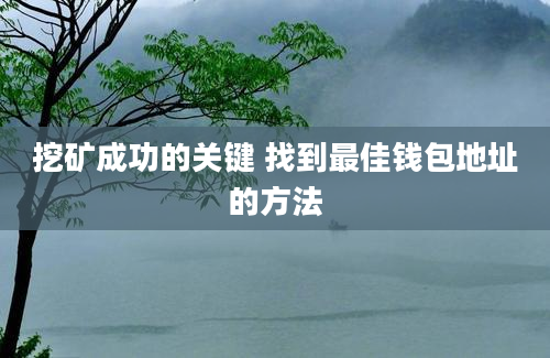 挖矿成功的关键 找到最佳钱包地址的方法