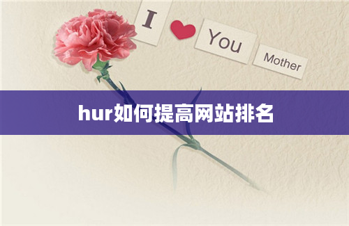 hur如何提高网站排名