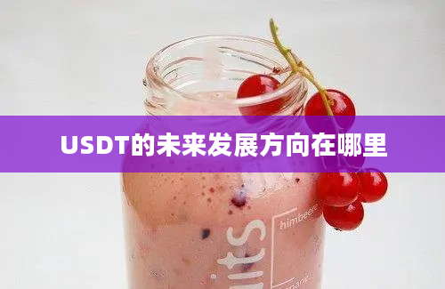 USDT的未来发展方向在哪里