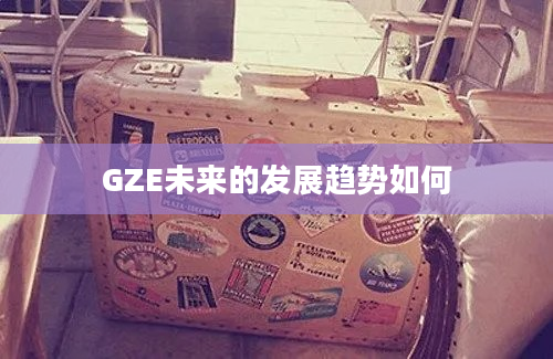 GZE未来的发展趋势如何