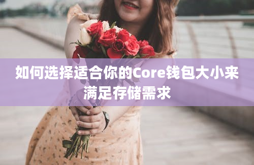 如何选择适合你的Core钱包大小来满足存储需求