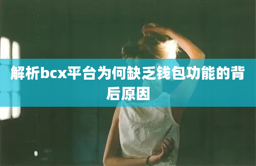 解析bcx平台为何缺乏钱包功能的背后原因