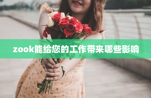 zook能给您的工作带来哪些影响