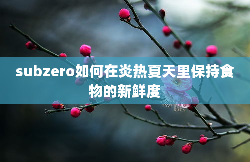 subzero如何在炎热夏天里保持食物的新鲜度