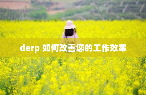 derp 如何改善您的工作效率