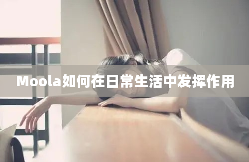 Moola如何在日常生活中发挥作用