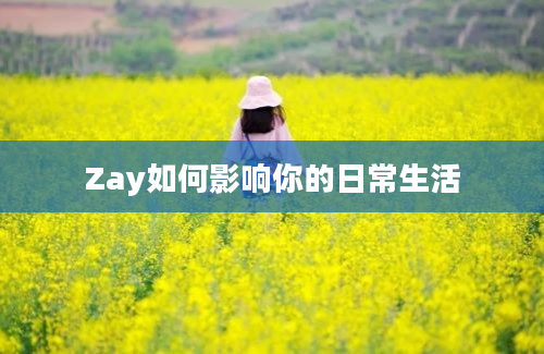 Zay如何影响你的日常生活