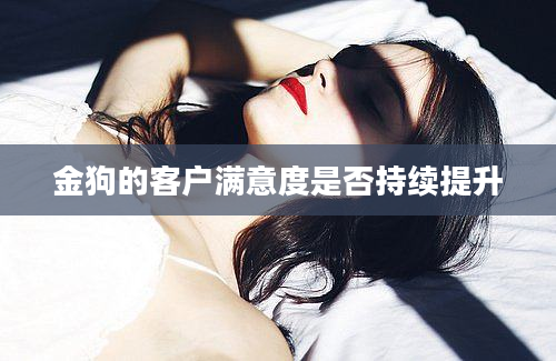 金狗的客户满意度是否持续提升