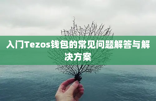 入门Tezos钱包的常见问题解答与解决方案