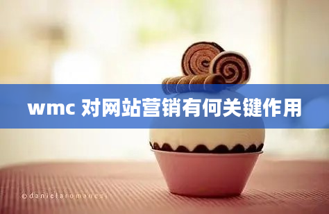 wmc 对网站营销有何关键作用