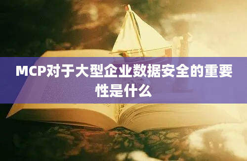 MCP对于大型企业数据安全的重要性是什么