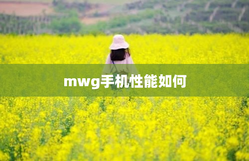 mwg手机性能如何