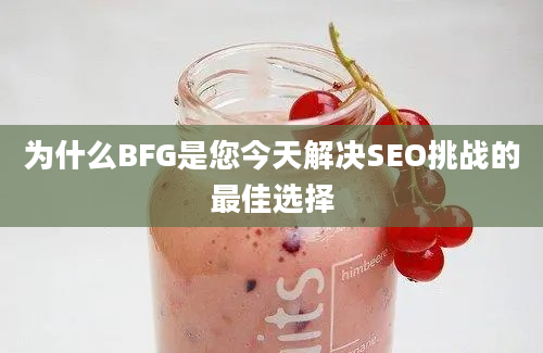 为什么BFG是您今天解决SEO挑战的最佳选择