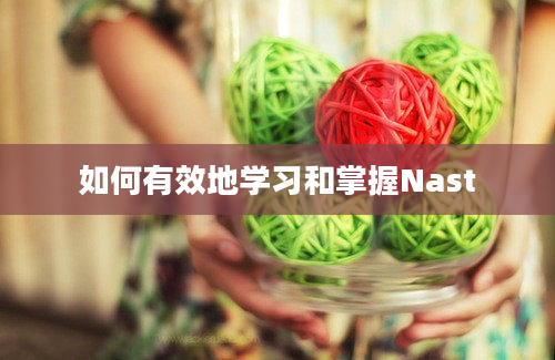 如何有效地学习和掌握Nast