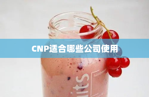 CNP适合哪些公司使用