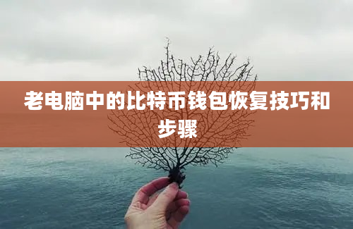 老电脑中的比特币钱包恢复技巧和步骤