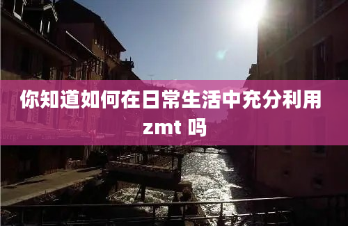 你知道如何在日常生活中充分利用 zmt 吗