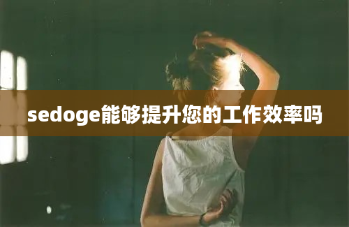 sedoge能够提升您的工作效率吗