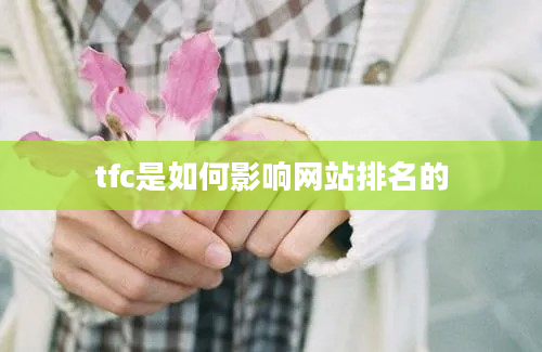 tfc是如何影响网站排名的