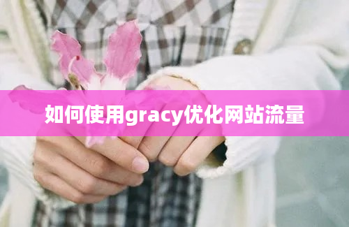 如何使用gracy优化网站流量