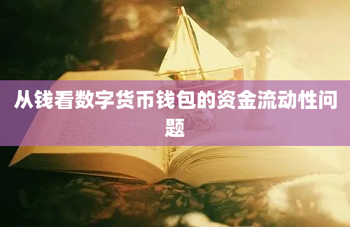 从钱看数字货币钱包的资金流动性问题