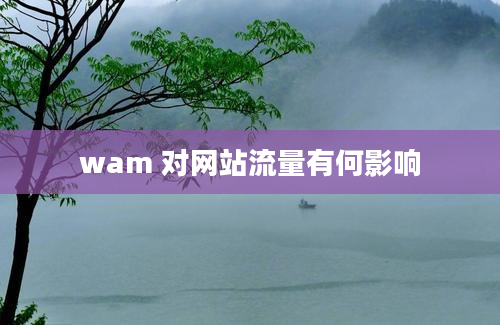 wam 对网站流量有何影响