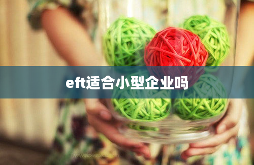 eft适合小型企业吗