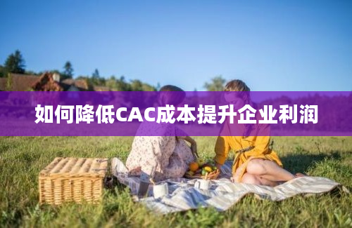 如何降低CAC成本提升企业利润