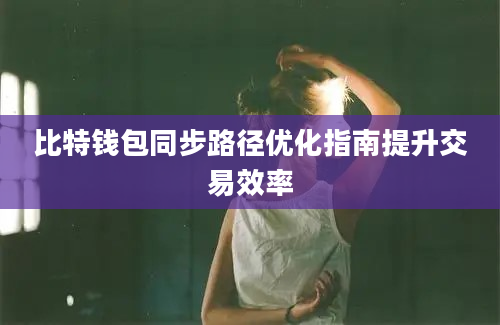 比特钱包同步路径优化指南提升交易效率