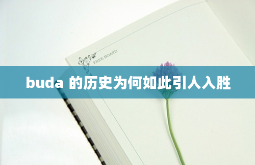 buda 的历史为何如此引人入胜