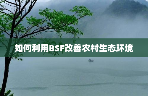 如何利用BSF改善农村生态环境