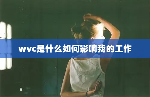 wvc是什么如何影响我的工作