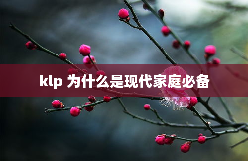 klp 为什么是现代家庭必备