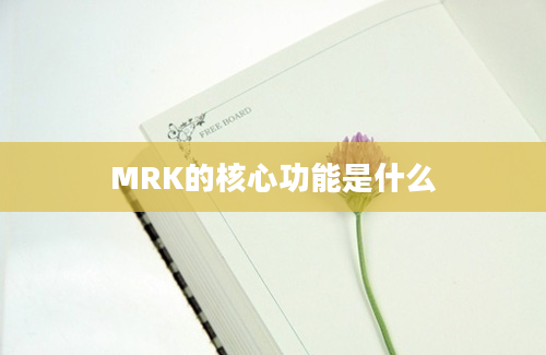 MRK的核心功能是什么